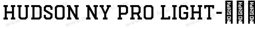 Hudson NY Pro Light字体转换